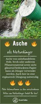 Naturdunger Anwendung Vorteile Von Naturlichem Dunger Plantura Dunger Fur Pflanzen Pflanzen Garten Und Rasen