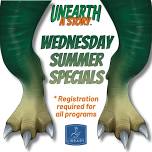 Wednesday Summer Special: America 250