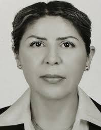 Red de Centros de Justicia para las Mujeres