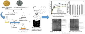 Жидкие отходы, получаемые при производстве пальмового масла. Improved Methane Production Using Lignocellulolytic Enzymes From Trichoderma Koningiopsis Tm3 Through Co Digestion Of Palm Oil Mill Effluent And Oil Palm Trunk Residues Springerlink