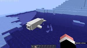 Minecraft Dolphins: How To Tame, Spawning, Behavior