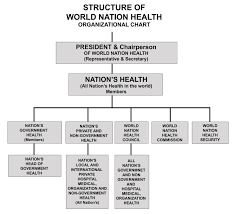 42 Unfolded World Health Organization Organizational Chart