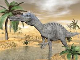 Image result for Suchomimus