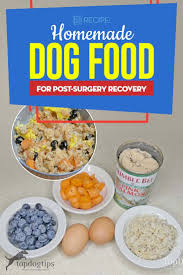 Recipe Homemade Dog Food For Post Surgery Recovery Dog Food Recipes Dog Treat Recipes Homemade Dog Food