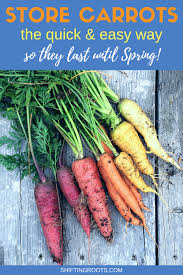 Remove the tops, which can be also used for salads or as an herb component to other dishes, but only last up to a week similar to arugula. Quick And Easy Ways To Store Your Carrots Until Spring Shifting Roots