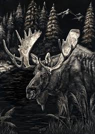 Moose 8x10 Scratchboard Art Print By Jlblake On Etsy 35 00 Scratchboard Art Scratchboard Art Lessons Scratchboard