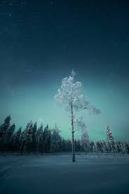 Check spelling or type a new query. Winter Night Pictures Download Free Images On Unsplash