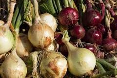 Image result