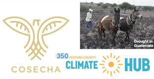 Engaged in murder, attempted murder, extortion, assault with a. 2 Quick Actions