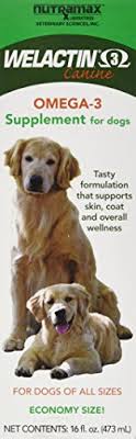 Maybe you would like to learn more about one of these? The Best Dog Skin Coat Supplements According To A Veterinarian Pet Life Today