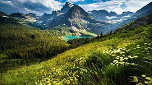 Looking at data recently recorded through the lands of america comparable sales program, the most land and rural property sales were recorded in bradford county. Land Values In Each Of The Contiguous 48 States Vary Widely Per Acre