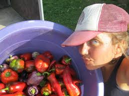 SELF/selfie — Laura Neale of Black Kettle Farm