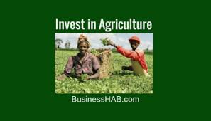 Fresh Jobs for Agriculturist