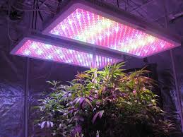 Check spelling or type a new query. Platinum Grow Lights Lamps Manufacturer Cannabis Lighting Brand Information Growdiaries