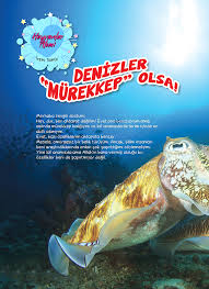 Denizler Murekkep Olsa Can Kardes