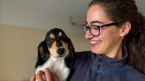 L'école des chats attend un refuge