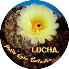 Stream Pablo Lujan music