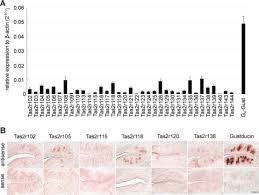 .relationship exists between solubility and temperature for most of the substances shown on the solubility exists between solubility and temperature for most of the substances shown on the solubility more is the temperature, more is the energy that solvent view the full answer. Comprehensive Analysis Of Mouse Bitter Taste Receptors Reveals Different Molecular Receptive Ranges For Orthologous Receptors In Mice And Humans Journal Of Biological Chemistry