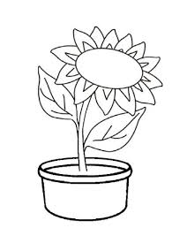 Contoh mewarnai gambar bunga matahari. 15 Gambar Sketsa Bunga Matahari Dan Cara Mudah Menggambarnya Bingkaigambar Com