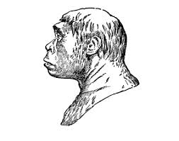 The Distributed Proofreaders Canada eBook of Meet Your Ancestors: A  Biography of Primitive Man, by Roy Chapman Andrews.