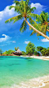 Tropical Palm Beach Iphone Wallpaper Hd Beach Wallpaper Tropical Paradise Beach Beautiful Beaches