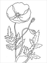 The poppy program in 1921, connecting the visual image of the poppy with the service made by our veterans. 18 Poppy Coloring Pages Pdf Jpg Free Premium Templates Poppy Coloring Page Poppy Drawing Printable Flower Coloring Pages