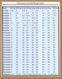 Stardust Pomeranian Helpful Hints