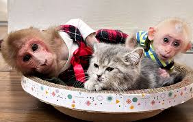 Bibi: "Two kids and neither one has any sense of personal space"