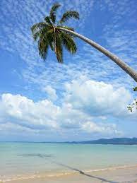 White Sand Beach Khao Lak Thailand Thailand Travel Thailand Beaches Beautiful Places To Travel