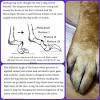 Regular nail maintenance is more than cosmetic. 1