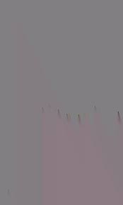 Image result for Justicia fittonioides