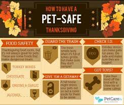 Check spelling or type a new query. 5 Tips For A Pet Safe Thanksgiving The Everyday Dog Mom