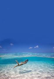 34 Places To Swim In The World S Clearest Water Ocean Water Pictures Underwater Photography