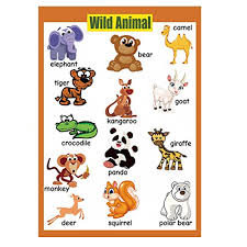 4 pieces laminated educational preschool posters for