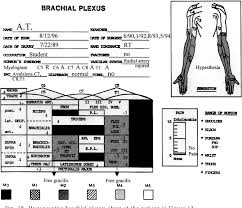 Figure 18 From The Surgical Treatment Of Brachial Plexus