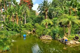 Bus 2 links jardin exotique with the town centre. Le Jardin Exotique Monaco
