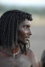 Afar Tribe Beauty African Hairstyles Hair Styles