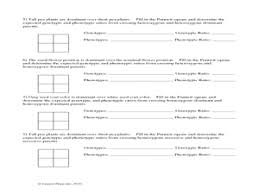 Pea Plant Punnett Square Worksheet 7th 12th Grade Worksheet Punnett Squares Worksheets Science Worksheets