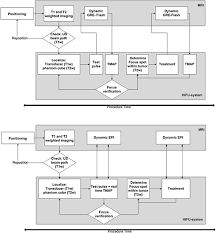 Workflow Chart Of The High Intensity Focused Ultrasound