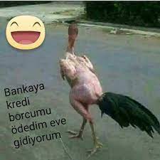 babil adli kullanicinin karikaturler panosundaki pin komik resimler komik seyler gulunc resimler