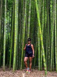 Most hikers access the trail to the bamboo forest from the chattahoochee river. Take A Hike East Palisades Trail And The Bamboo Forest Dyetta