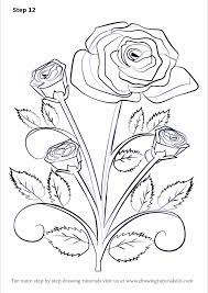 Learn How To Draw A Rose Plant Rose Step By Step Drawing Tutorials Step by step flower patrickallisonhouse info.