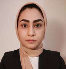 Mapping the Unknown: Inside Black Holes