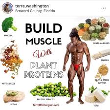 Pin By Ted Sothern On Diet Fitness Vegan Muscle Vegan Bodybuilding Diet Muscle Building Meal Plan