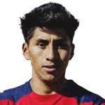 Franz Gabriel Chocaita stats and ratings