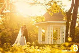 Singapore Botanic Gardens Prewedding Photography Wedding Photography Pre Wedding
