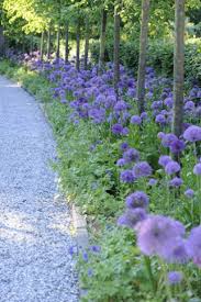 Helles Blaues Aluminium Mit Damenmantel Bepflanzt Baumen Boden Decke Ecke Einem Er Garten Landschaftsbau Garten Garten Bepflanzen