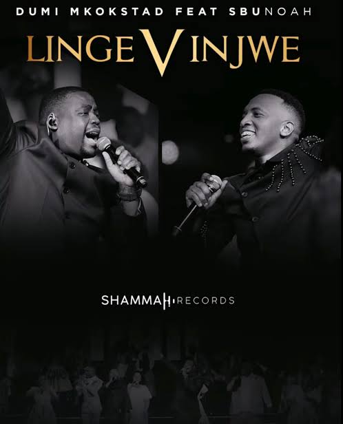 Dumi Mkokstad - Lingevinjwe