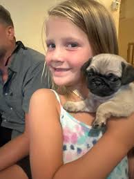 If your Pug could have a job, what would they be good at?