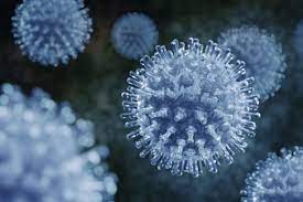 How well do you know your disney and other classic cartoon trivia? 7 Facts About Viruses